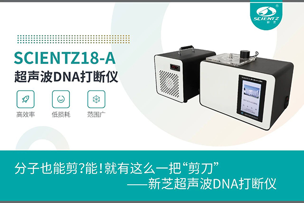 bsports必一超声波DNA打断仪应用于分子剪切