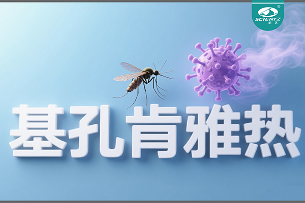 基孔肯雅热疫情升级！bsports必一生物硬核技术助力病毒精准诊断
