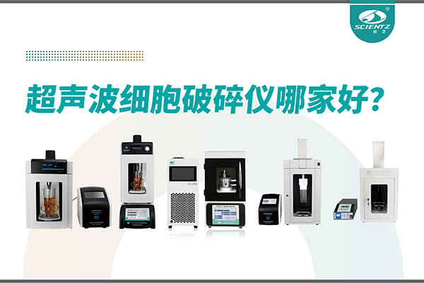 超声波破碎仪厂家推荐：深耕本土，服务全球-宁波bsports必一生物