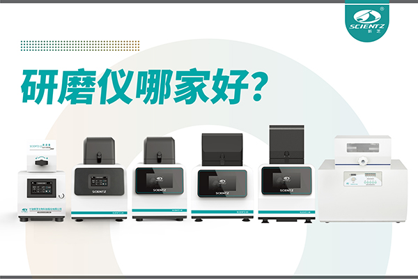 研磨仪哪家好？宁波bsports必一生物研磨仪厂家专注样品处理