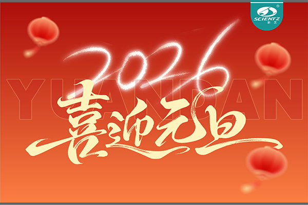 董事长周芳女士新年献词：心有定力，沐光而行