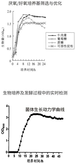 过程安全，结果精准
