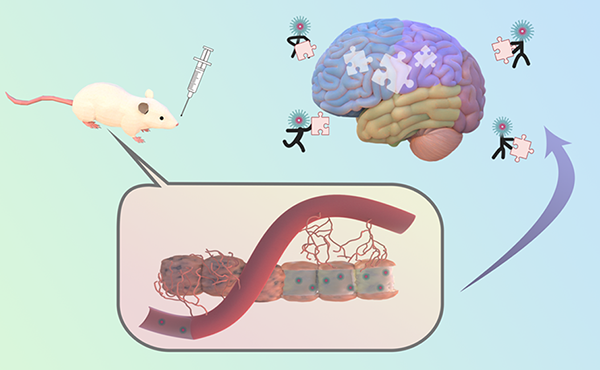 微信图片_2026-01-22_133650_225